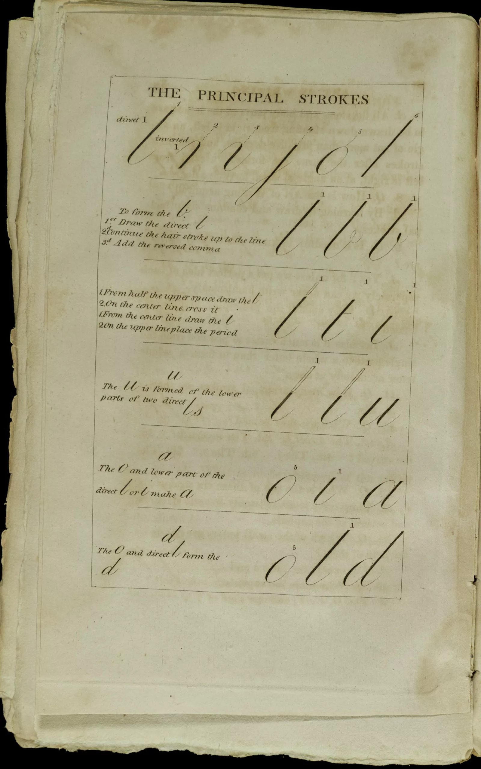 Letters made to look like handwriting appear in rows on a page. The letters on the page include “o,” “l,” and “d.”