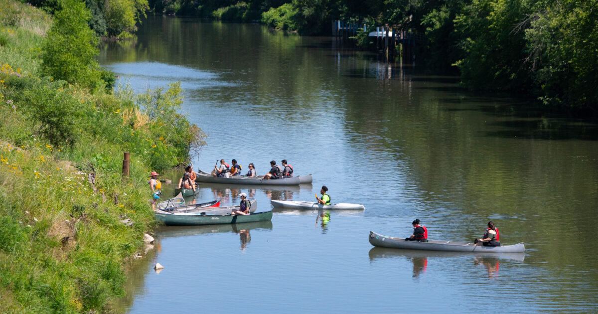Canoeing on the Chicago River Newberry Library