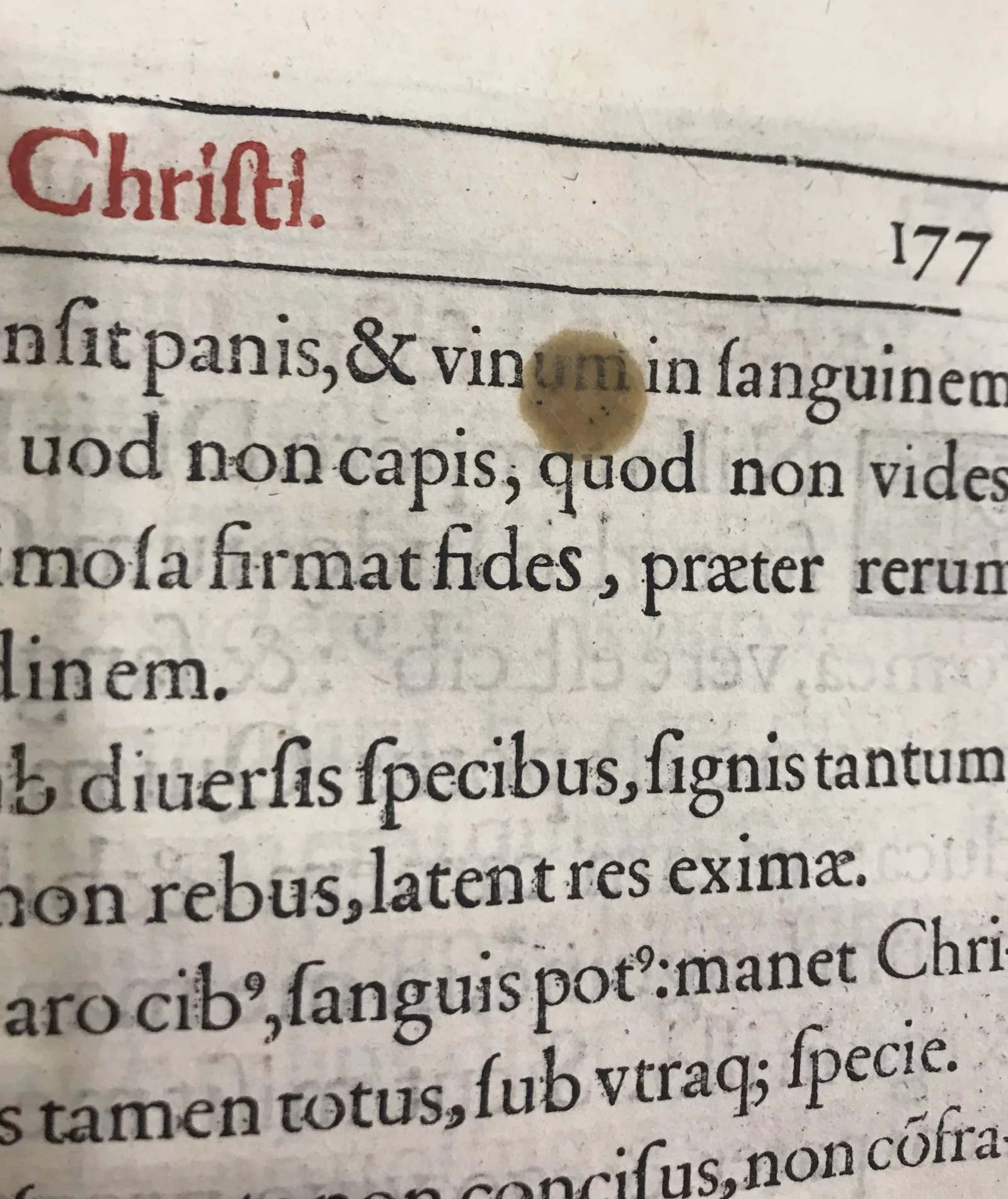 A drop of candle wax has fallen onto the word “vinum” during the celebration of the Feast of Corpus Christi.
