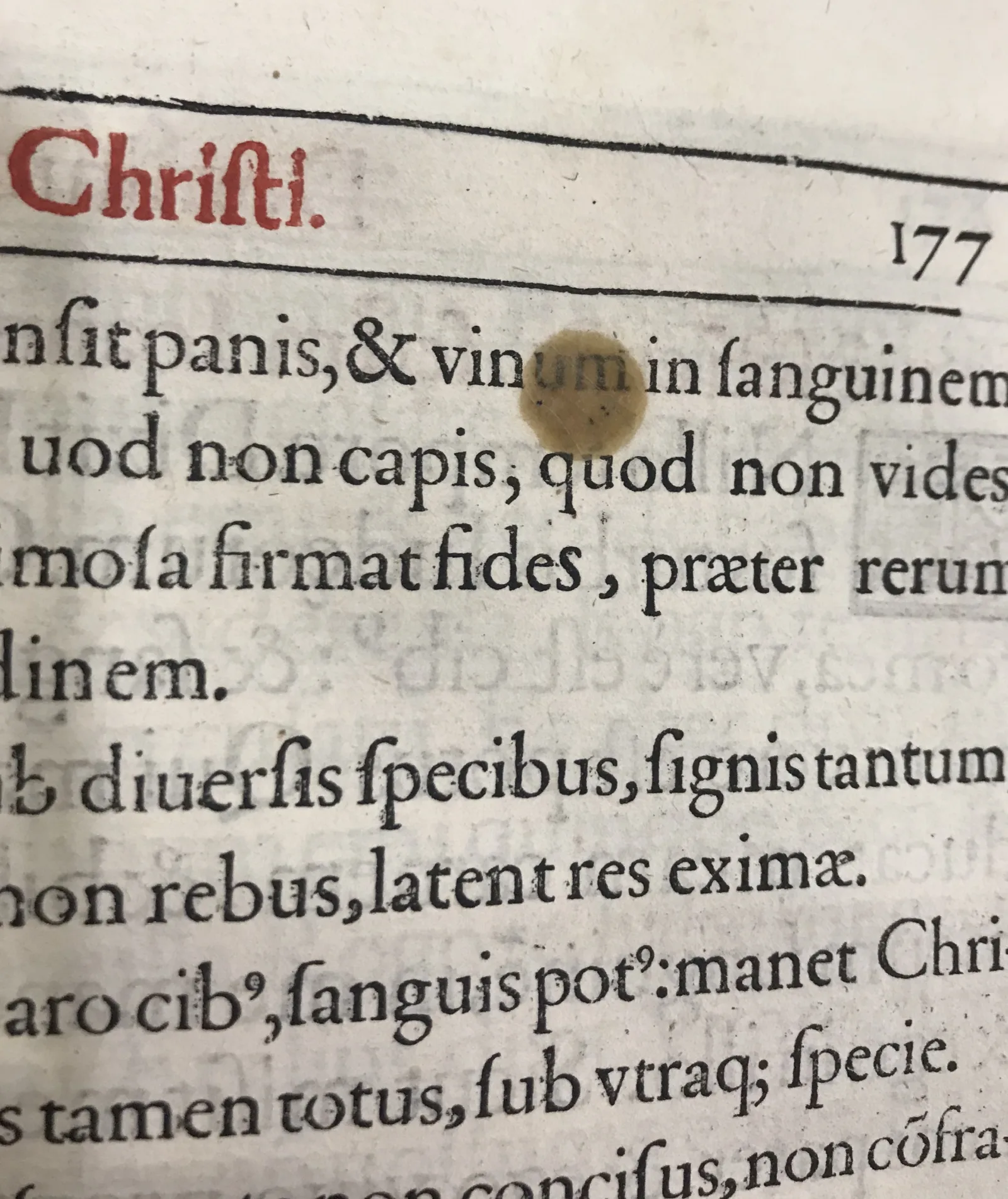 A drop of candle wax has fallen onto the word “vinum” during the celebration of the Feast of Corpus Christi.