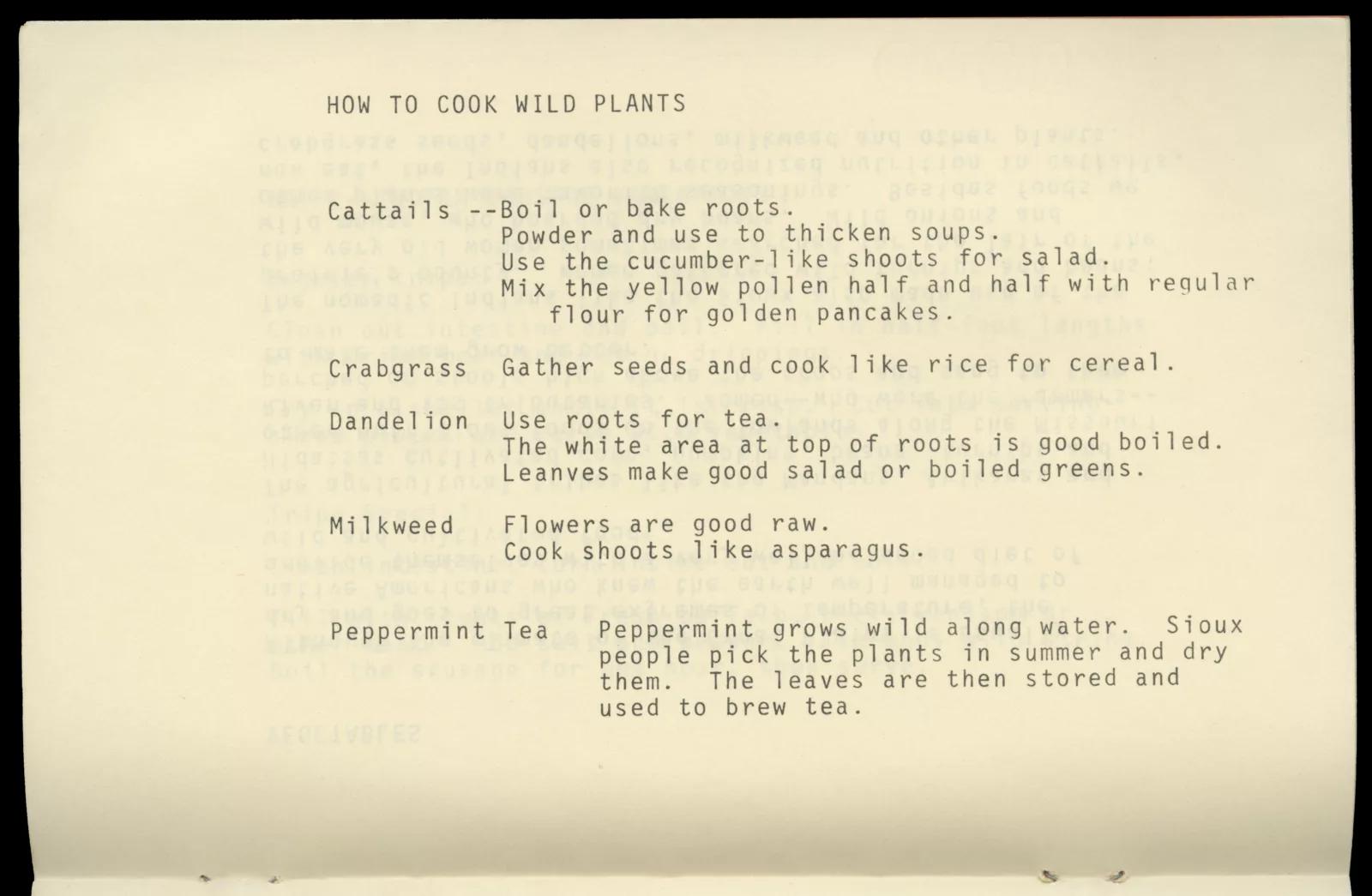 Typed text that reads: "How to cook wild plants. Cattails--boil or bake roots. Powder and use to thicken soups. Use the cucumber-like shoots for salad. Mix the yellow pollen half and half with regular flour for golden pancakes. Crabgrass--gather seeds and cook like rice for cereal. Dandelion--use roots for tea. The white area at top of roots is good boiled. Leaves make good salad or boiled greens. Milkweed--Flowers are good raw. Cook shoots like asparagus. Peppermint tea--peppermint grows wild along water. Sioux people pick the plants in summer and dry them. The leaves are then stored and used to brew tea."