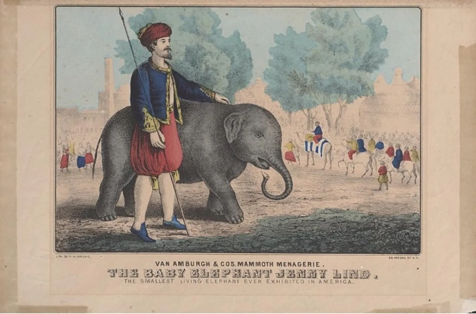 Van Amburgh & Co.'s Mammoth Menagerie: The Baby Elephant Jenny Lind