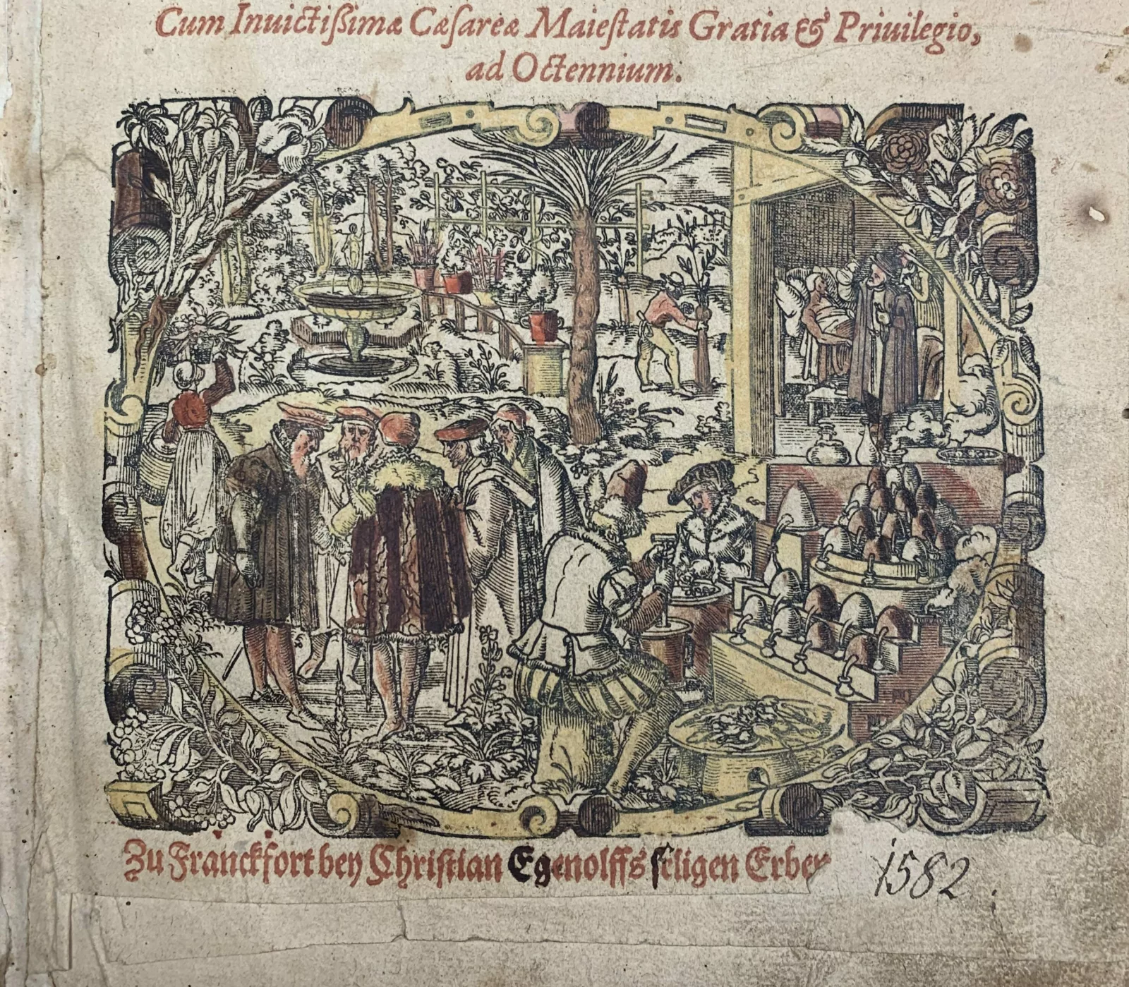Kreuterbuch, 1598