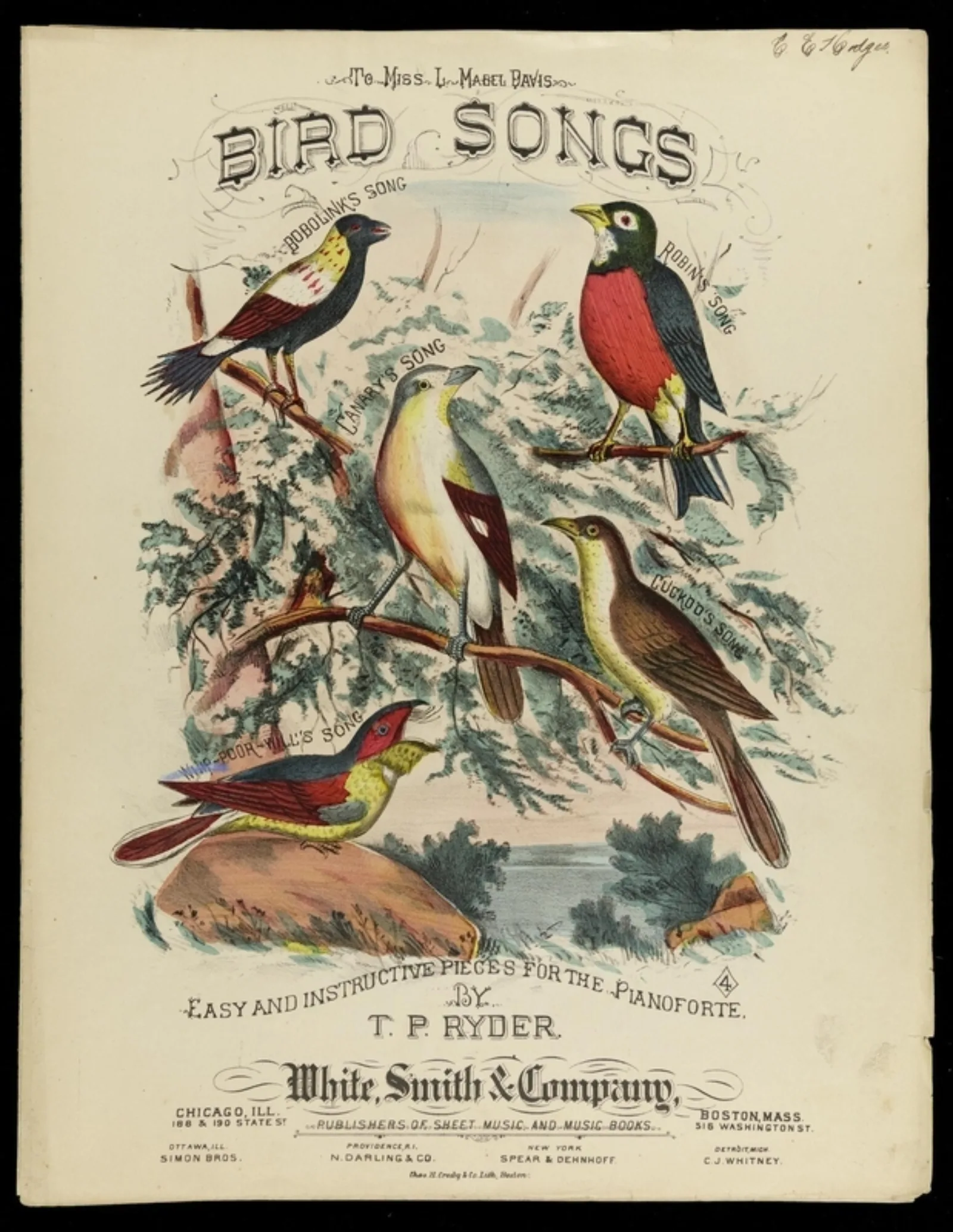 Ord driscoll series 00017 box 00344 bird songs 001