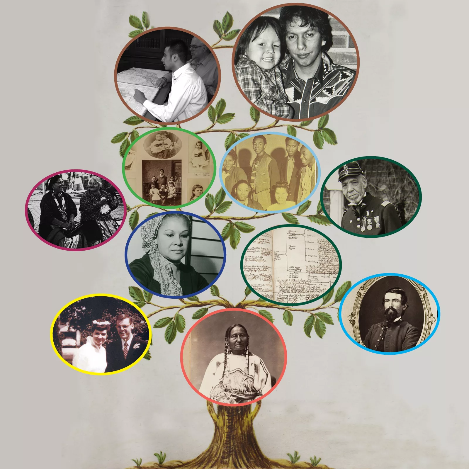 A genealogy tree. Circles filled with images of people from different racial and ethnic backgrounds are spread out around the tree