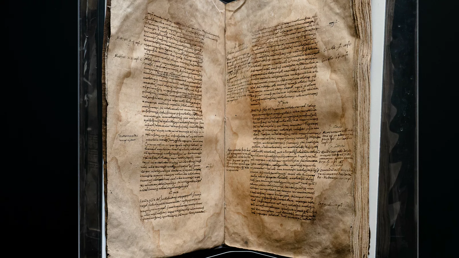 Sahagun manuscript 2