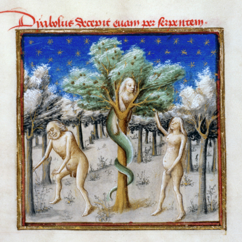 A naked Adam and Eve stand around a tree wrapped by a woman-headed serpent.